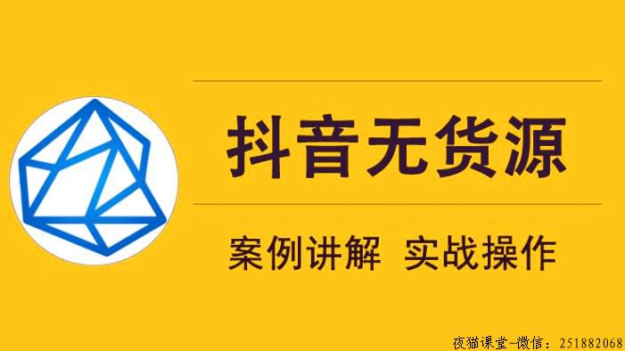 顽石电商低投入高回报抖音无货源实战教程（完结）