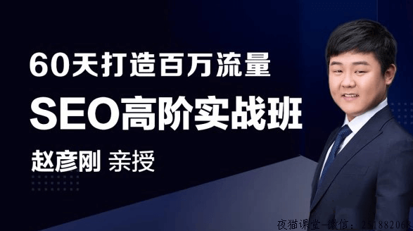 SEO高级实战：赵彦刚老师教你60天如何打造百万seo流量